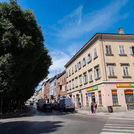 Apartament Amu